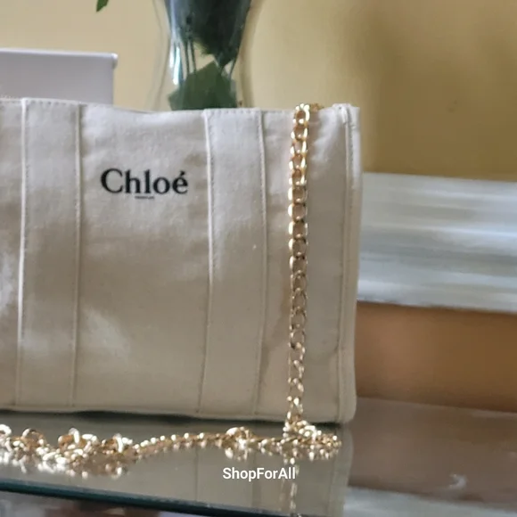 Chloe pouch crossbody bag